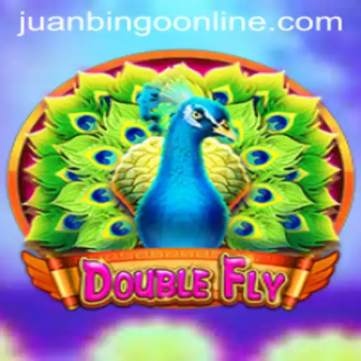 Exploring DoubleFly: A Thrilling Journey into Virtual Entertainment