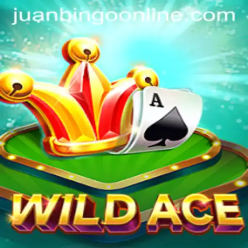 Discovering WildAce: A Thrilling New Game With a Unique Twist
